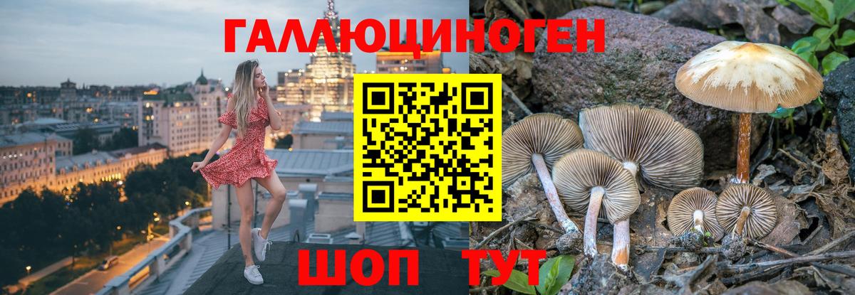 Апатиты  Галлюциногенные грибы ЛСД  Вход с VPN 